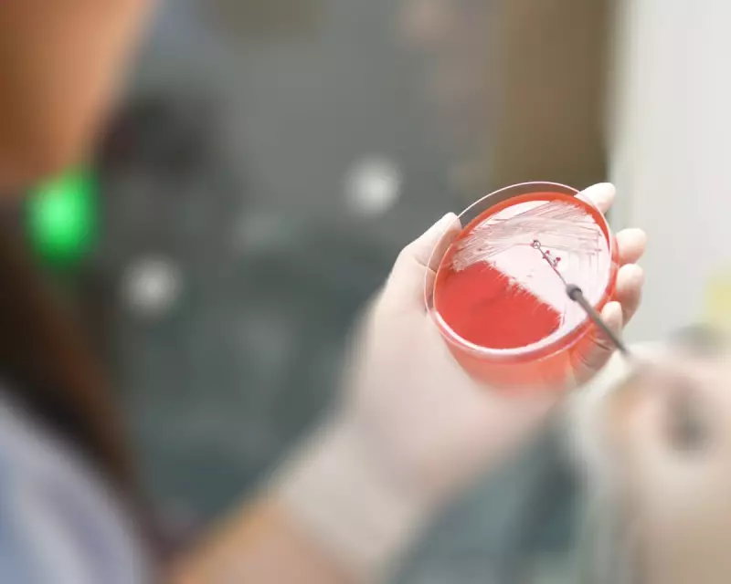 Superbug Crisis: UK Faces Tipping Point as Drug-Resistant Infections Surge