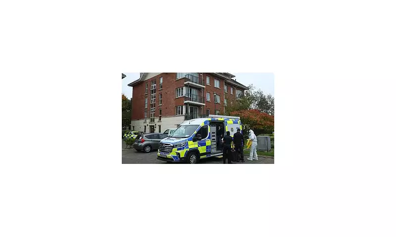 Teenager Brutally Murdered in Frenzied Knife Attack at Irish Asylum Centre - Somali Youth in Custody
