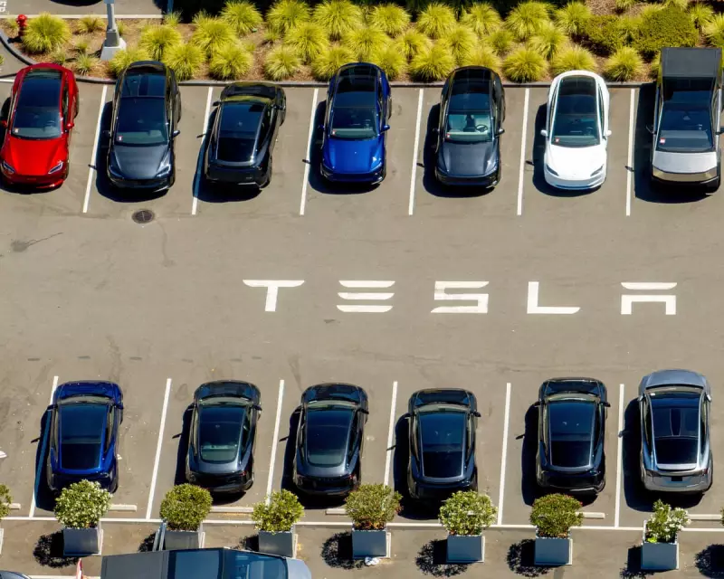 Tesla Profits Plummet: Elon Musk's Electric Giant Faces Steepest Drop in Years