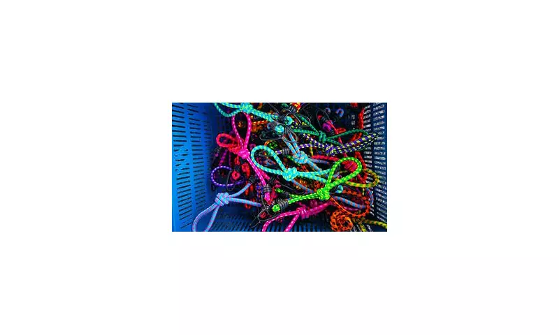 The Ultimate Travel Hack: Why Bungee Cords Are Your New Essential Packing Item