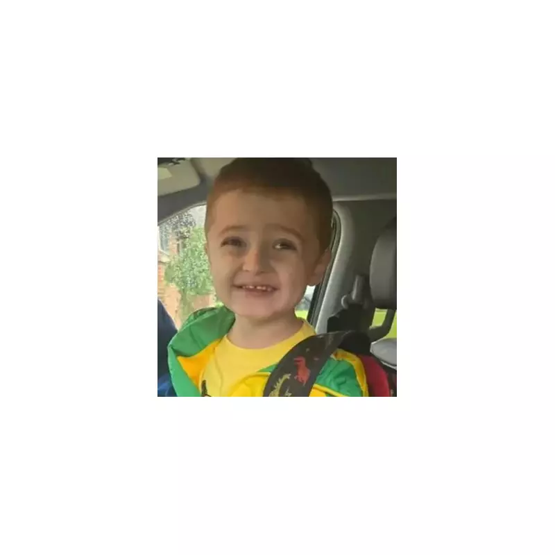 Toddler Tragically Killed After Being Hacked to Death in Front of Mother in Horror Attack