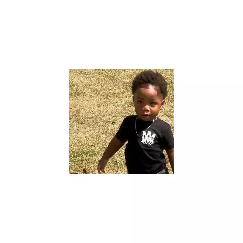 Toddler Tragically Mauled to Death by Family Dogs in Horrific Backyard Incident