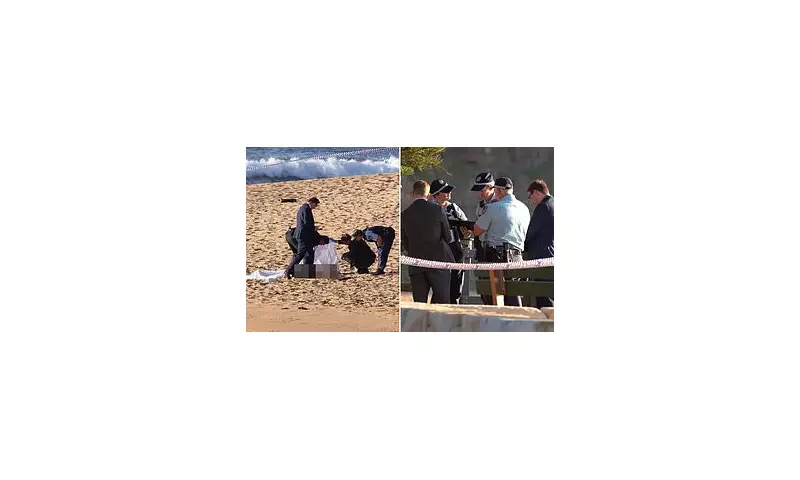 Tragedy at Manly Vale: Sydney Beach Claims Life of British Tourist in Suspected Drowning
