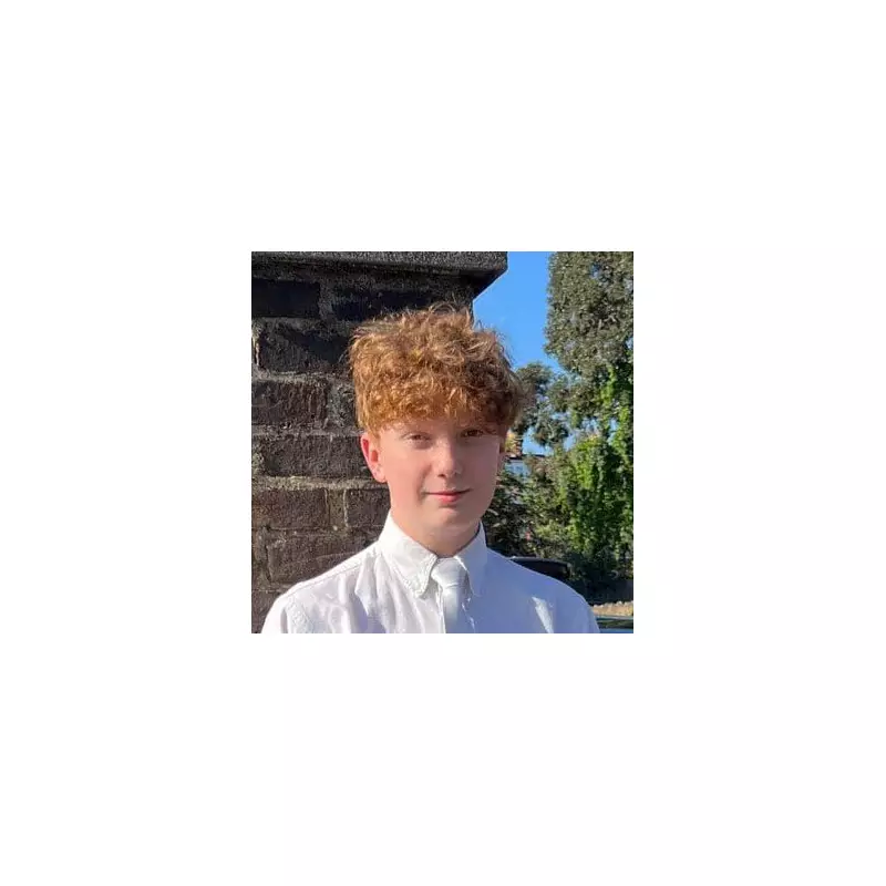 Tragic New Year's Eve: Teenager Harry Pitman, 16, Fatally Stabbed on Primrose Hill as Police Launch Murder Investigation