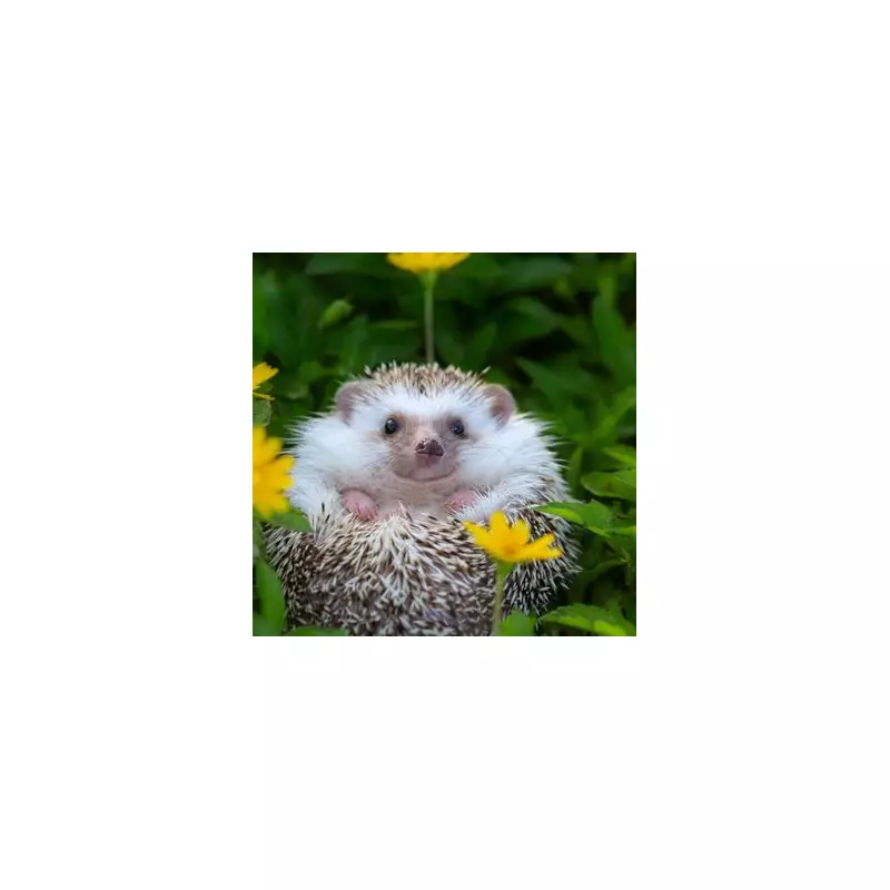 Transform Your Garden Into a Wildlife Paradise With This Simple Trick
