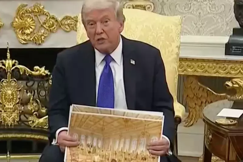 Trump's Grand Ballroom Expansion Sparks Controversy at Met Museum