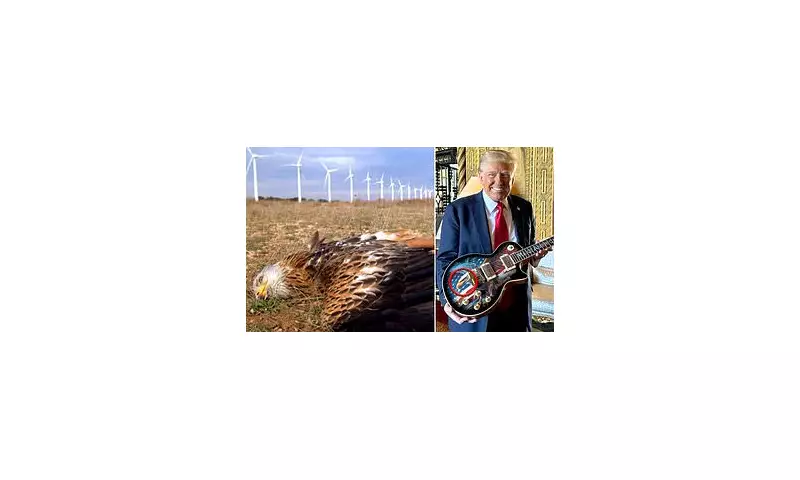 Trump's Offshore Wind Warning: Governor Burgum Sounds Alarm on Whale Deaths and Energy Costs