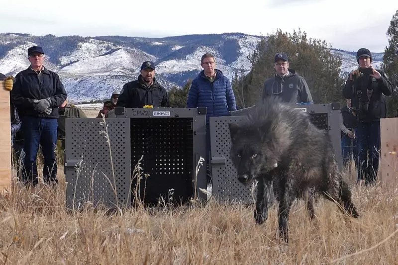 Trump's Rocky Mountain Refuge: Former President Eyes Canadian Border Property Amid Legal Battles