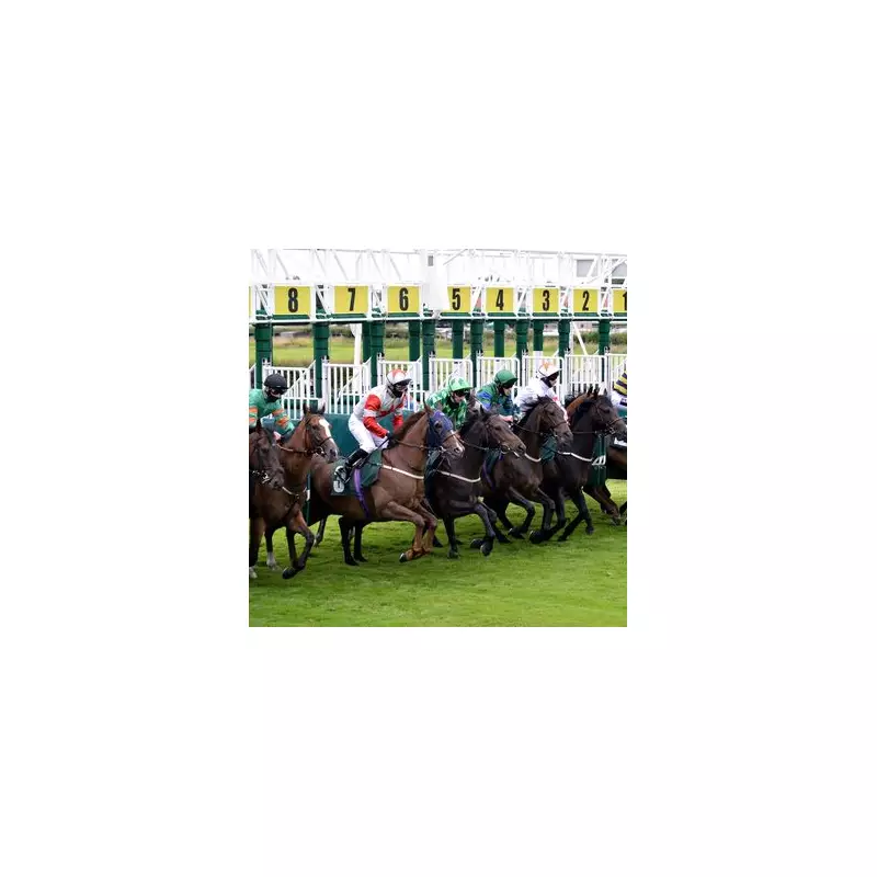 Tuesday's Racing Gold: Your Ultimate Guide to Four Unmissable Meetings