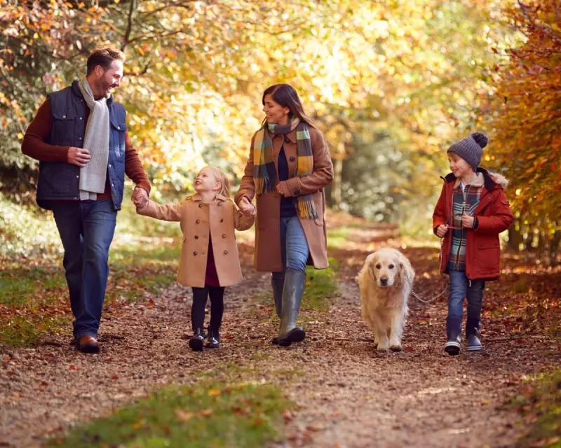 Two-Week Half-Term Crisis: The Staggering Childcare Costs Squeezing English Parents