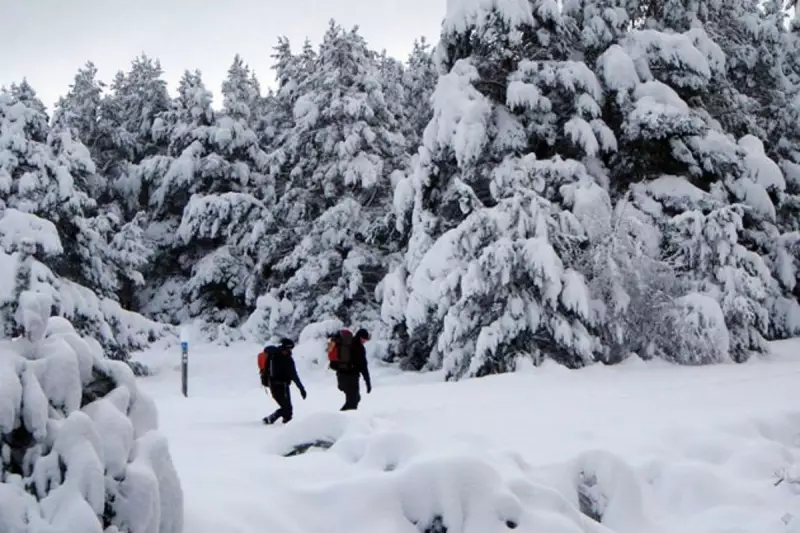 UK Braces for May Snow Bomb: Met Office Issues Urgent Weather Warnings