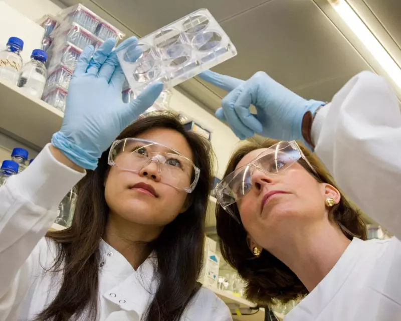 UK Patients Face Treatment Delays as Government and Pharma Giants Clash Over Drug Pricing