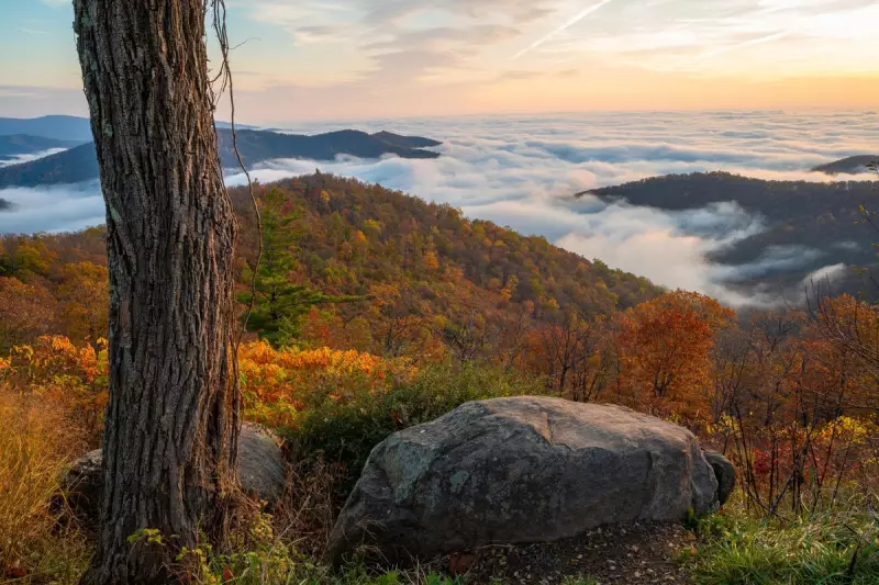 Virginia's Ultimate Road Trip: From Mountain Peaks to Coastal Shores