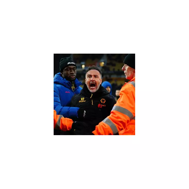 Vitor Pereira's Everton Dream Crumbles as Manager Hunt Takes Dramatic Turn
