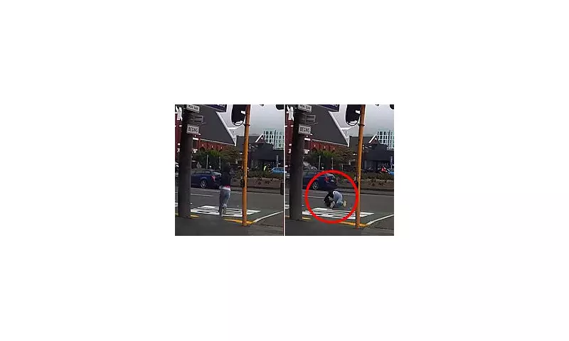 Wellington Weather Chaos: Pedestrian's Terrifying Ordeal as Storm Batters Capital
