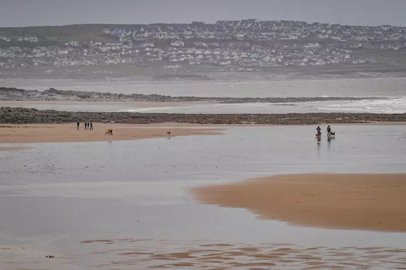 Welsh Seaside Town's Giant Inflatable Duck Vanishes - Porthcawl's Quirky Mystery Deepens