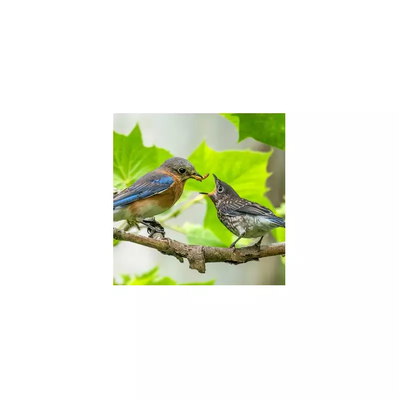 Why Birds Keep Coming Back to Your Garden: 7 Expert Secrets Revealed