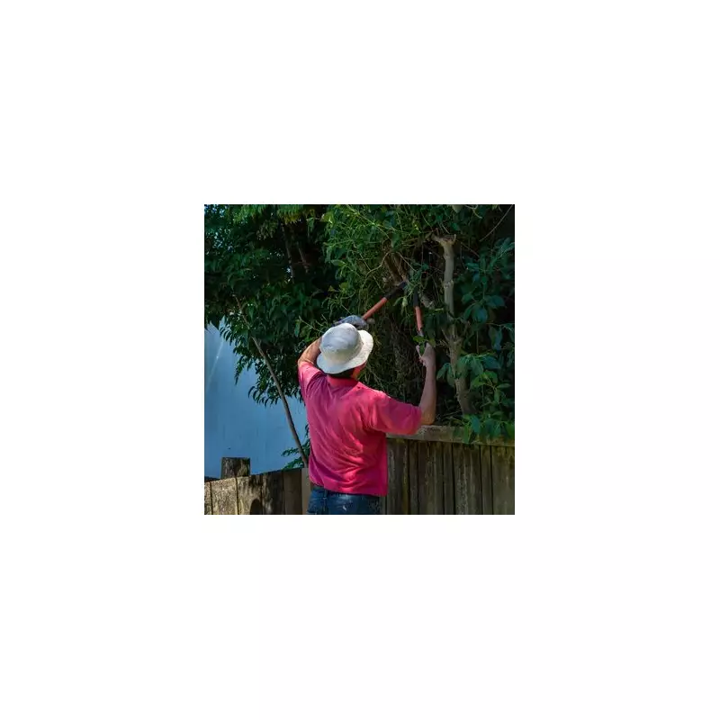 Your Neighbour's Tree Hanging Over Your Garden? Here's Your Legal Rights in the UK