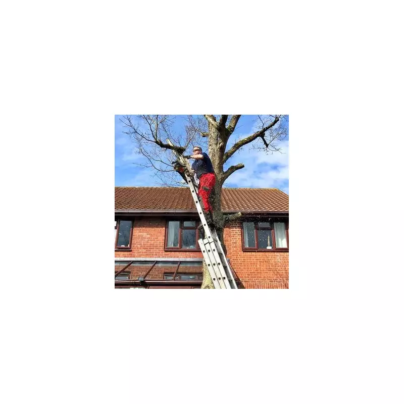 Your Ultimate Guide to Neighbour Tree Disputes: Know Your Rights Before You Cut