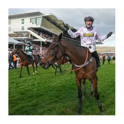 Champion Hurdle Ace Constitution Hill Forced to Miss Wetherby Showdown in Shock Training Setback