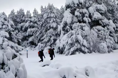 UK Braces for May Snow Bomb: Met Office Issues Urgent Weather Warnings