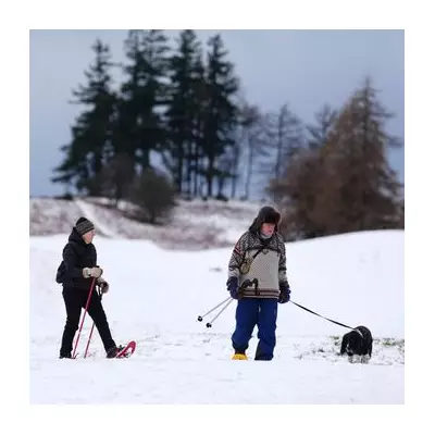 UK Snow Alert: Arctic Blast Set to Bring Widespread Disruption This Week
