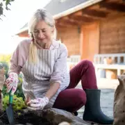10 Essential Gardening Jobs You MUST Do This April for a Spectacular Summer Garden