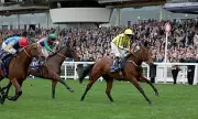 200-1 Glory! Shock Champion Sprint Triumph Stuns Racing World at Newmarket