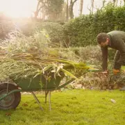 3 Essential Spring Gardening Jobs You MUST Do Now for a Spectacular Summer Garden