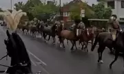 A Monarch's Tender Salute: King Charles's Heartfelt Farewell to Beloved Military Horse
