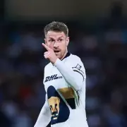 Aaron Ramsey's Family Pet Stolen in Mexico City Nightmare