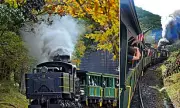 All Aboard for Autumn's Golden Glory: Discover West Virginia's Breathtaking Fall Foliage by Rail