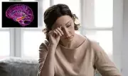 Alzheimer's Breakthrough: Scientists Discover Key Brain Pathway That Degrades in Dementia Patients