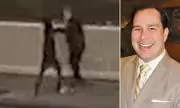 American Nightmare: Massachusetts Man Stabbed in Savage Random Attack by Stranger