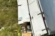 Animal Welfare Crisis: 100 Monkeys Rescued From Sweltering Truck in Mississippi