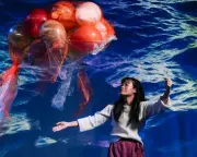 Arts Funding Crisis Deepens as England's Cultural Sector Faces Financial Paralysis