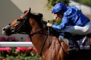 Ascot's Champions Day Showdown: Racing's Elite Clash Amid Ombudsman Controversy
