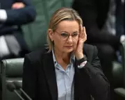 Australian Conservatives Embrace Green Shift: New Poll Reveals Liberal Voters' Surprising Stance on Net Zero