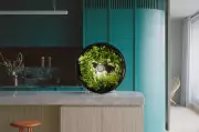 Australian Design Awards 2025: From Smartphone Microscopes to Sustainable Furniture - See the Winners