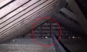 Australian Homeowner's £7,000 Roof Horror: The Shocking Discovery That Could Happen to Anyone