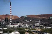 Australia's Strategic Crossroads: Why Endless Corporate Bailouts Are Failing Our Future