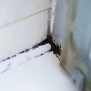 Banish Bathroom Mould For Good: Expert Reveals 5 Simple Hacks Every UK Homeowner Needs