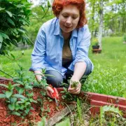 Banish Garden Weeds Forever: The Kitchen Scrap That Stops Them Growing