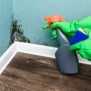 Banish Mould for Good: Expert-Backed Hacks to Protect Your Home and Health