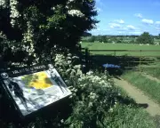 Battlefield Betrayal: How HS2 and Planning Rules Threaten Britain's Historic Heartland