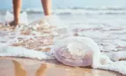 Beach SOS: Expert Reveals What Really Works For Jellyfish Stings (And The Dangerous Myths To Avoid)