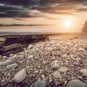Beachcomber's Incredible Mission: Man Counts Every Single Pebble on Brighton Beach