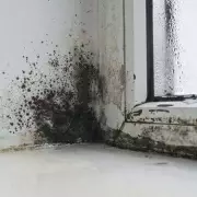 Beat Winter Window Condensation: 5 Genius Hacks to Keep Your Home Clear and Mould-Free