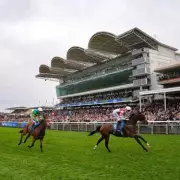 Beylerbeyi Storms to Stunning Cesarewitch Victory in Newmarket Thriller