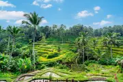 Beyond the Beaches: Discover Bali's Hidden Gems for Your Ultimate Island Escape